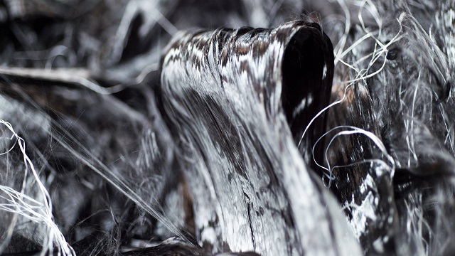 ضایعات و فواید آن